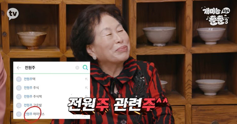 2만원에 SK하이닉스를 매입해 장기 보유한 배우 전원주가 주목받고 있다. 카카오TV ‘개미는오늘도뚠뚠’ 캡처