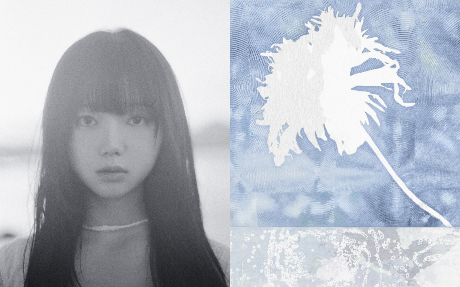 [사진 아카이브아침]