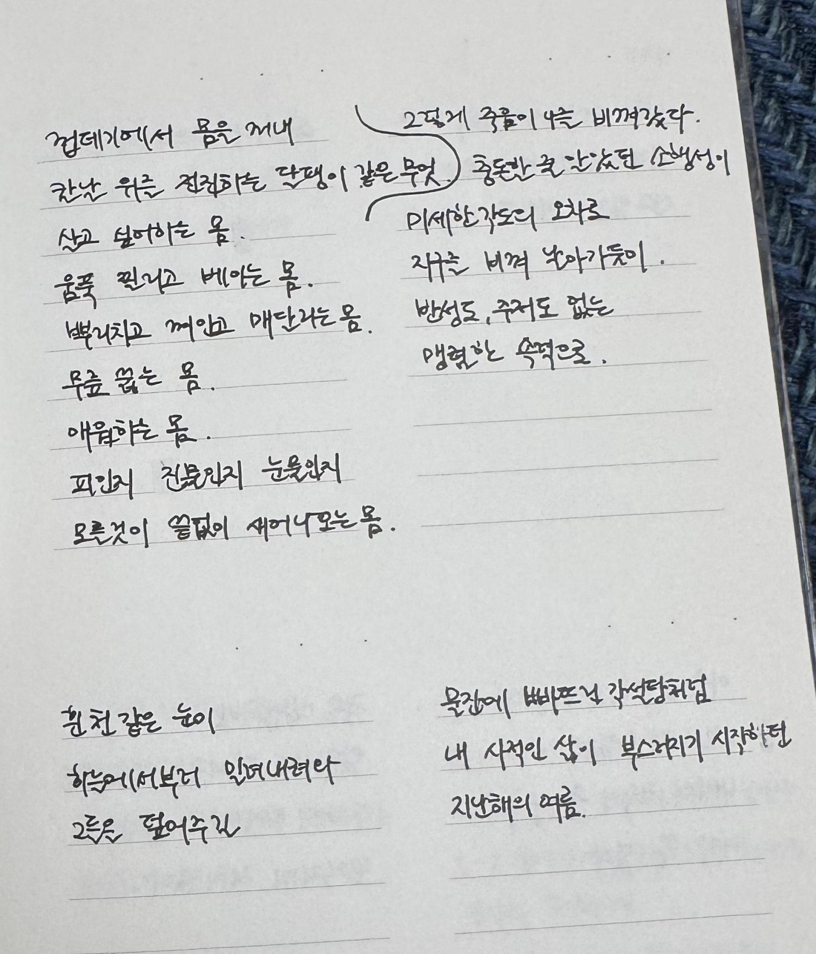 디지털 피로감에 지친 청년 세대 사이에선 책을 읽는 것을 넘어 손수 필사하는 ‘라이팅 힙(writing hip)’이 유행하고 있다. 독자 제공