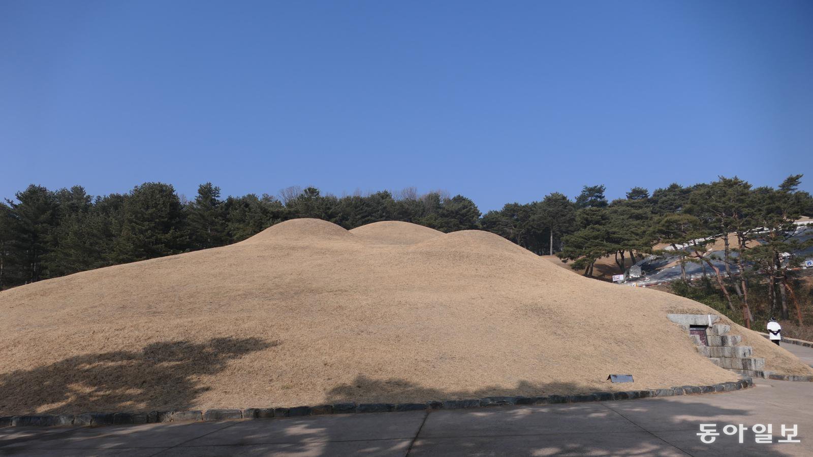 충남 공주군 왕릉원의 무령왕릉과 왕릉 1∼6호분 전경. 무덤 위에서 후투티 세 마리가 뛰놀았다.