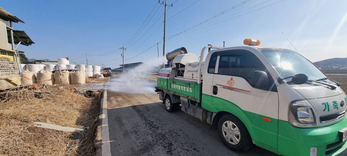 31일 구제역이 발생한 인천 강화군 한 한우농장 인근에서 방역차가 방역 작업을 하고 있다. 인천시 제공