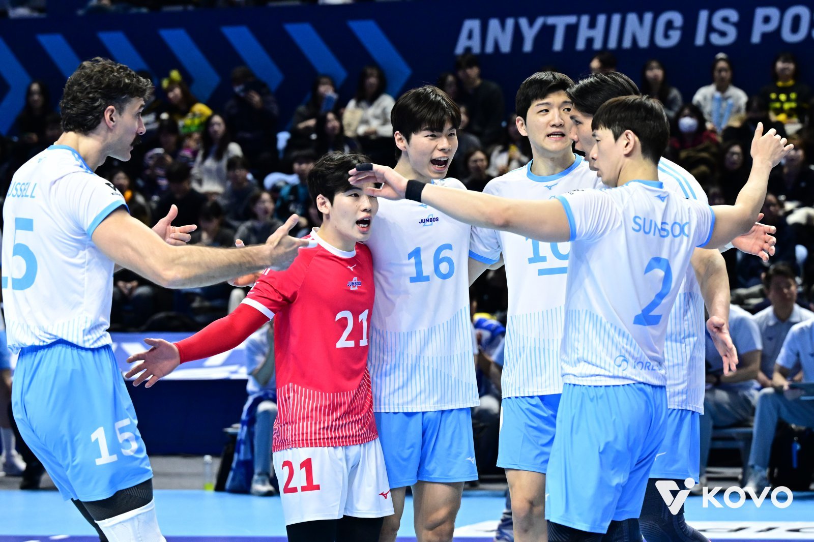 대한항공이 KB손해보험을 꺾었다. KOVO제공