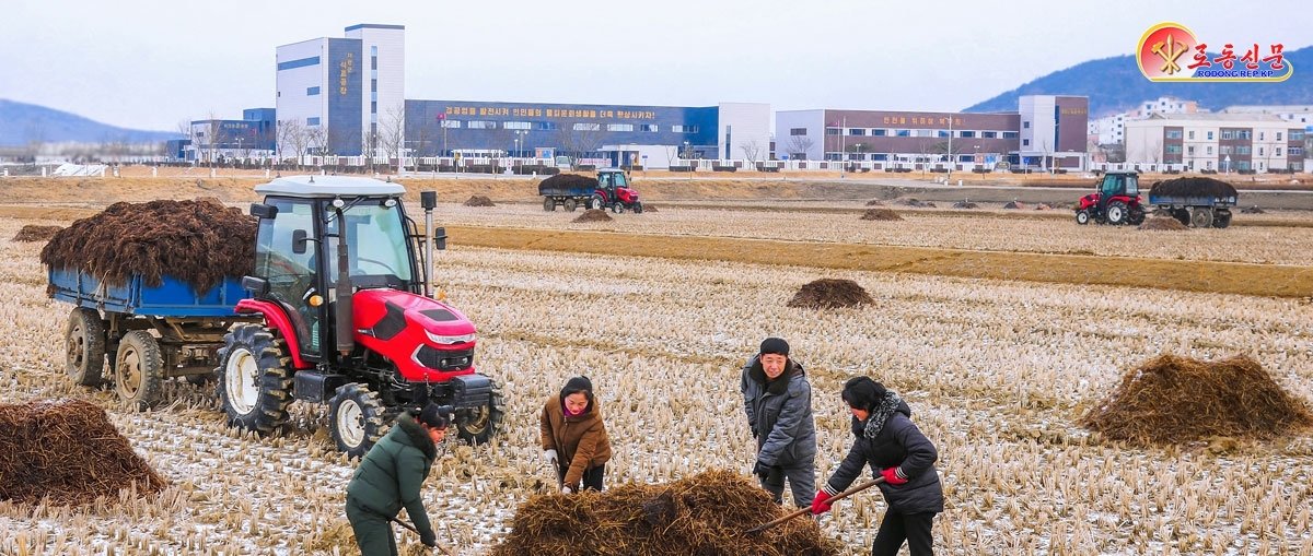 북한 노동당 기관지 노동신문은 1일 재령군 읍농장에서 “드높은 다수확 열의를 안고 새해 농사 차비를 다그치고 있다”라고 보도햇다. [국내에서만 사용가능. 재배포 금지. DB 금지. For Use Only in the Republic of Korea. Redistribution Prohibited] (평양 노동신문=뉴스1)