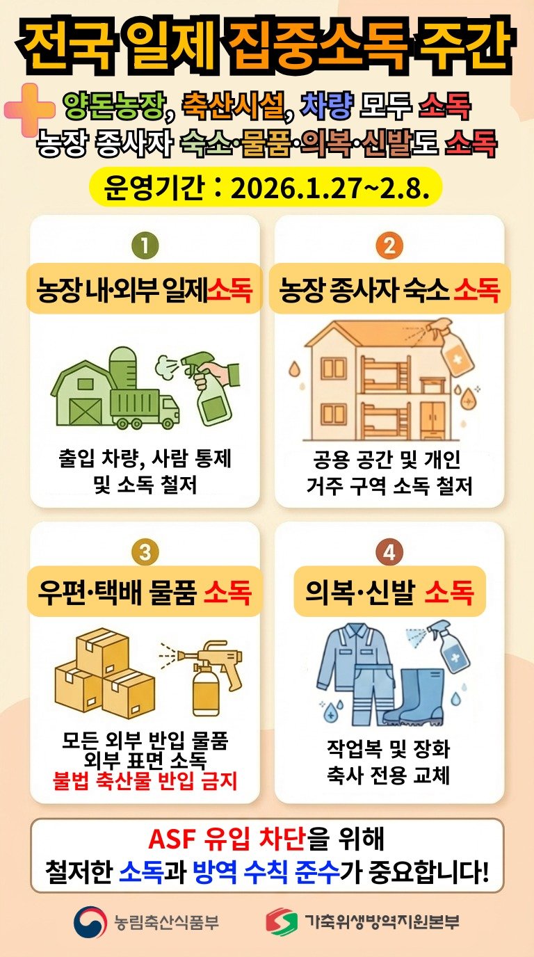 중수본 “아프리카돼지열병, 축사 차단방역 미흡 확인…방역 강화”