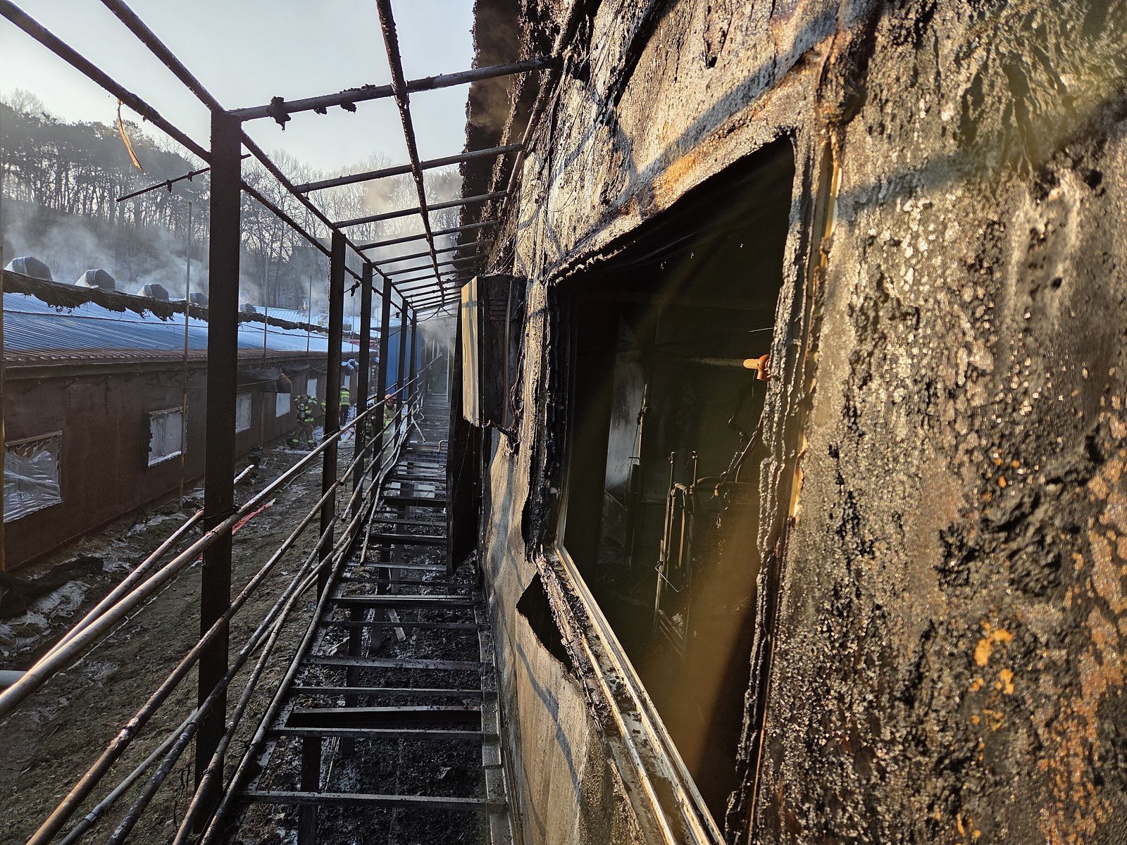 천안 성남면 축사서 불…돼지 960여 마리 폐사