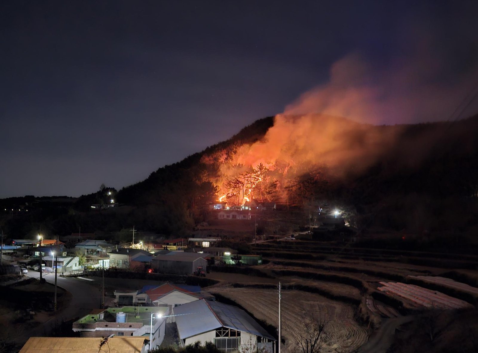 임야 화재, 산불보다 ‘들불’…농경지, 산 주변 발생이 69%