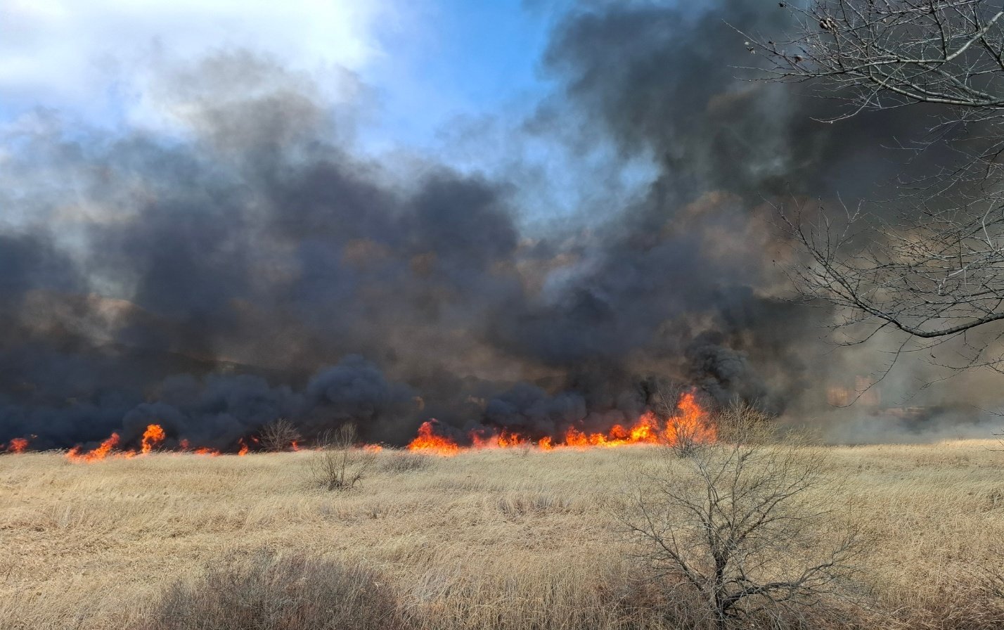 2일 낮 12시 39분쯤 경남 창원시 의창구 대산면 모산리 낙동강 수산대교 인근의 한 갈대밭에서 불이 났다. 사진은 화재 현장 모습.(창원소방본부 제공. 재판매 및 DB금지)