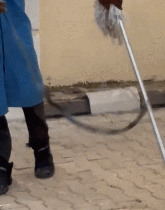 엑스 게시물 갈무리