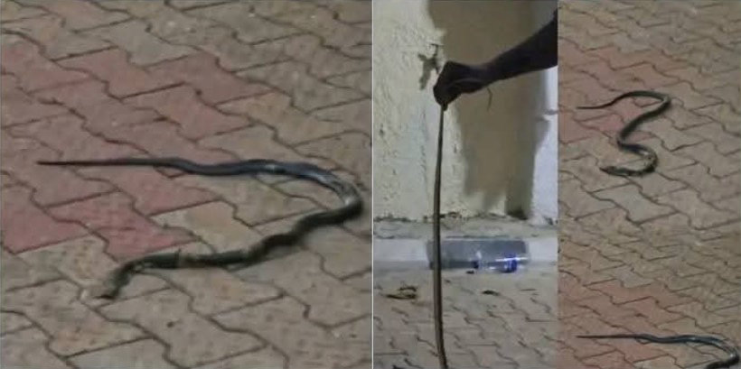 엑스 게시물 갈무리