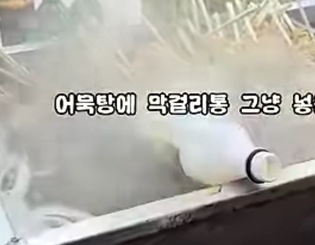 제33회 태백산 눈축제가 개막 첫날인 지난달 31일부터 일부 비위생 노점 논란에 휩싸여 태백시와 태백시문화재단이 조치에 나선 가운데, 최근 한 유튜브 방송에서 논란의 노점 자료 화면이 공개됐다. (모 유튜브 방송 갈무리. 재판매 및 DB금지) 2026.2.3/뉴스1