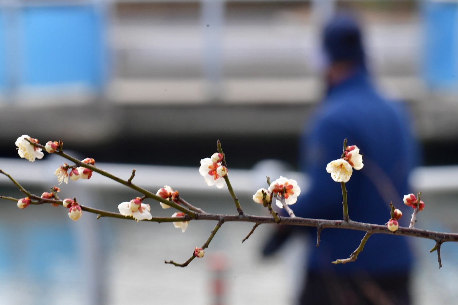 낮 최고 ‘15도’ 포근한 날씨…전국 곳곳 미세먼지 ‘나쁨’