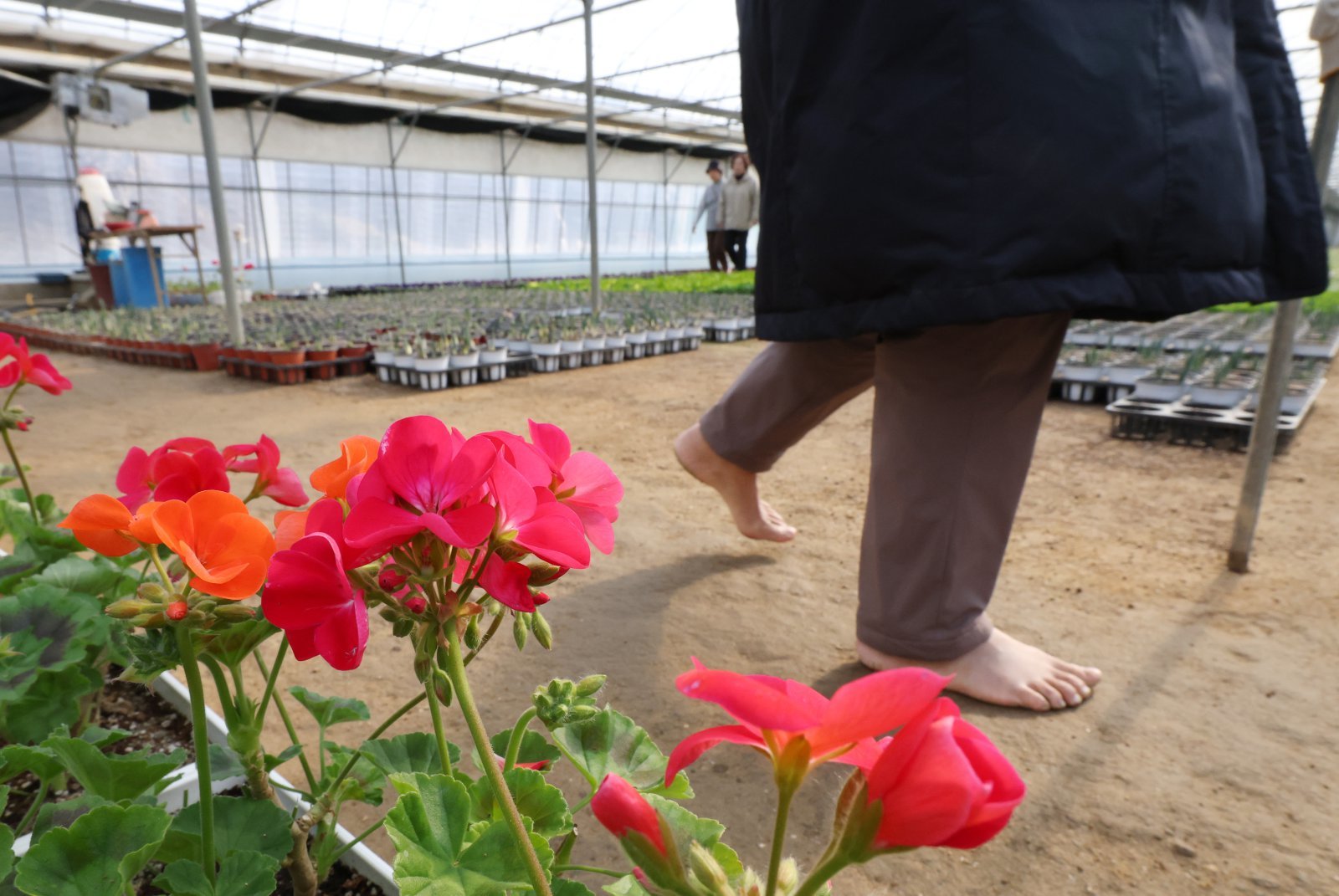 봄기운 스쳤다 다시 한겨울…내일 최저 -12도·서울 -8도 ‘꽁꽁’