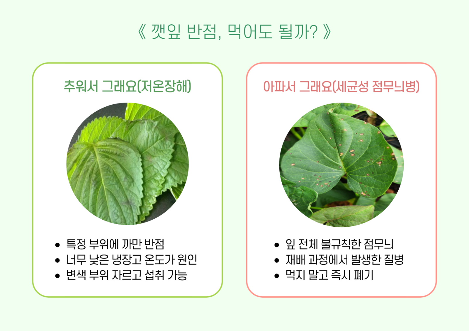 인포그래픽 최강주 기자(gamja822@donga.com)