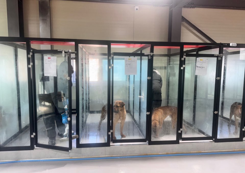 동물보호시설 아크보호소 X 갈무리