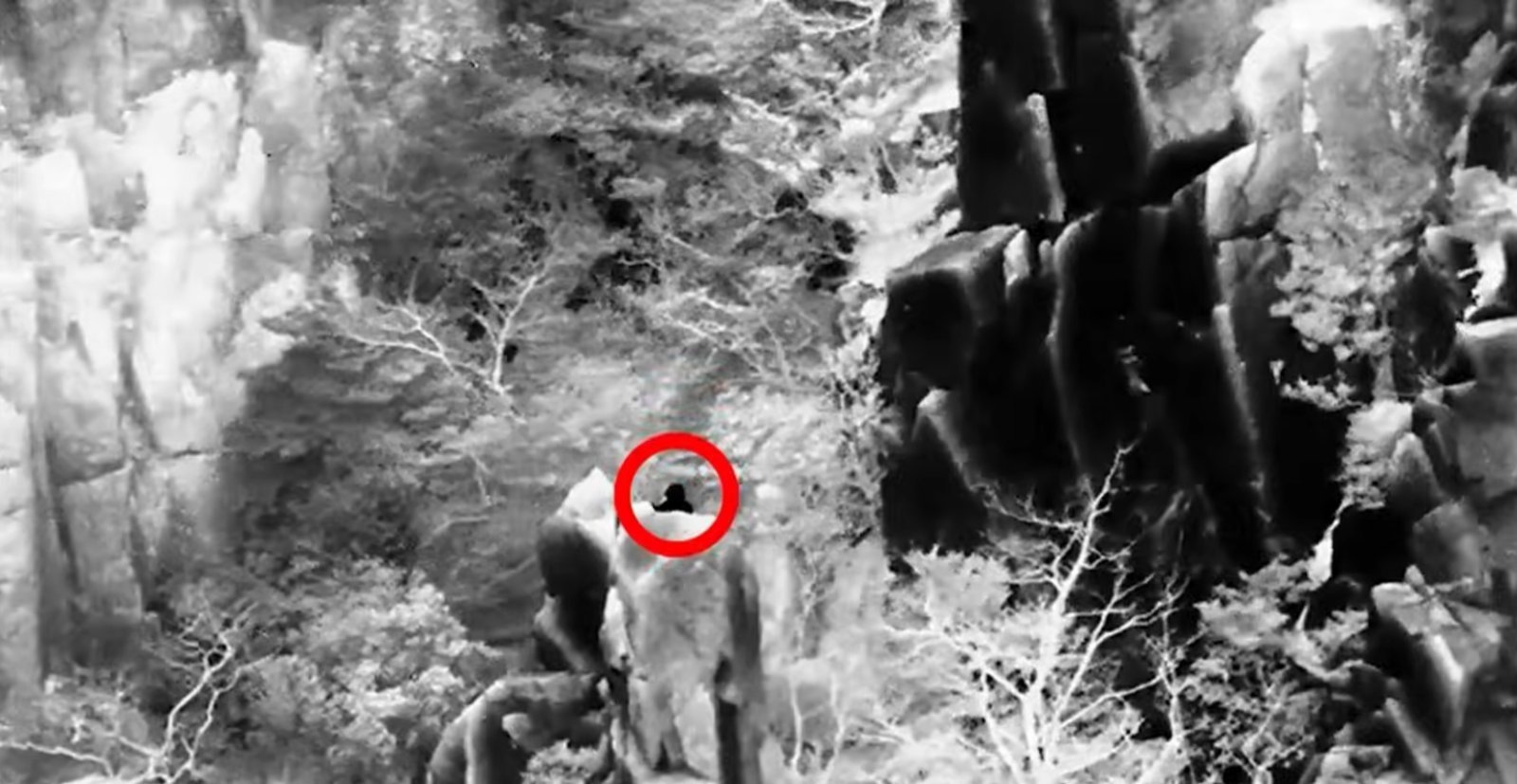 1월 17일 야심한 시각 전남경찰청 항공대가 열화상 카메라로 전남 해남 달마산에 고립된 등산객을 특정한 모습 (전남경찰청 제공) 2026.2.6