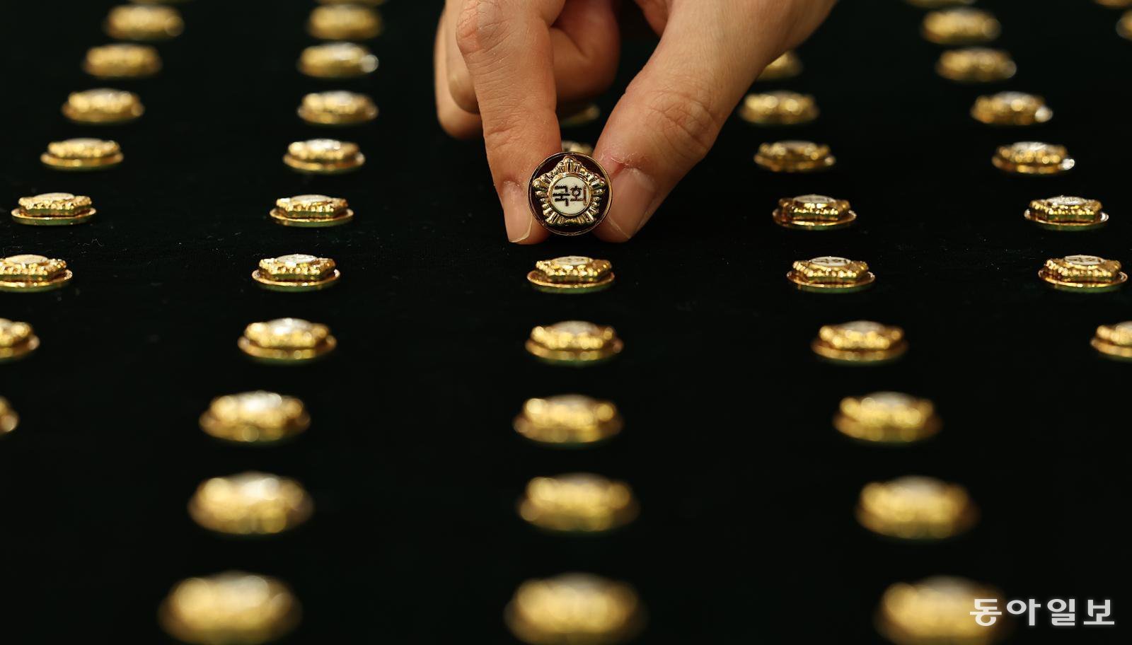 국회의 배지. 동아일보 DB