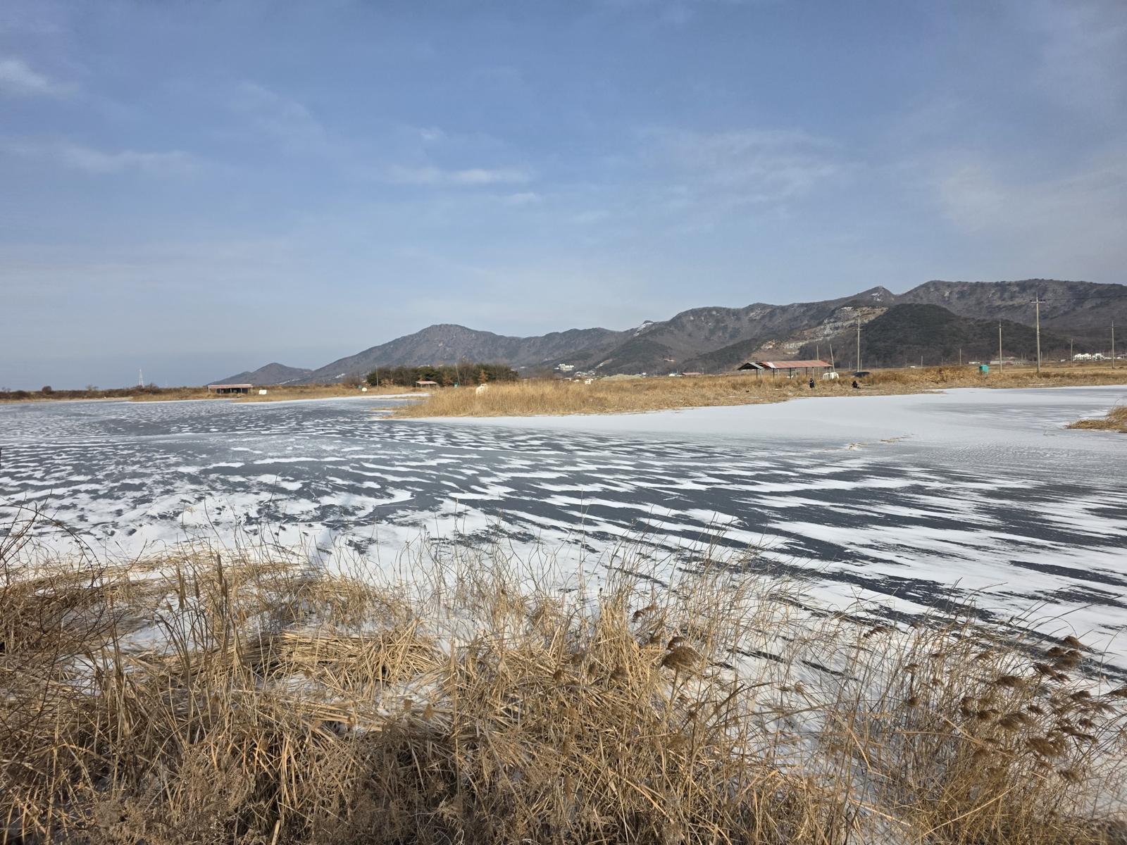 강화 석모도 습지의 겨울 풍경. 얼음 위로 부는 찬바람에 눈가루가 날리고 있다.