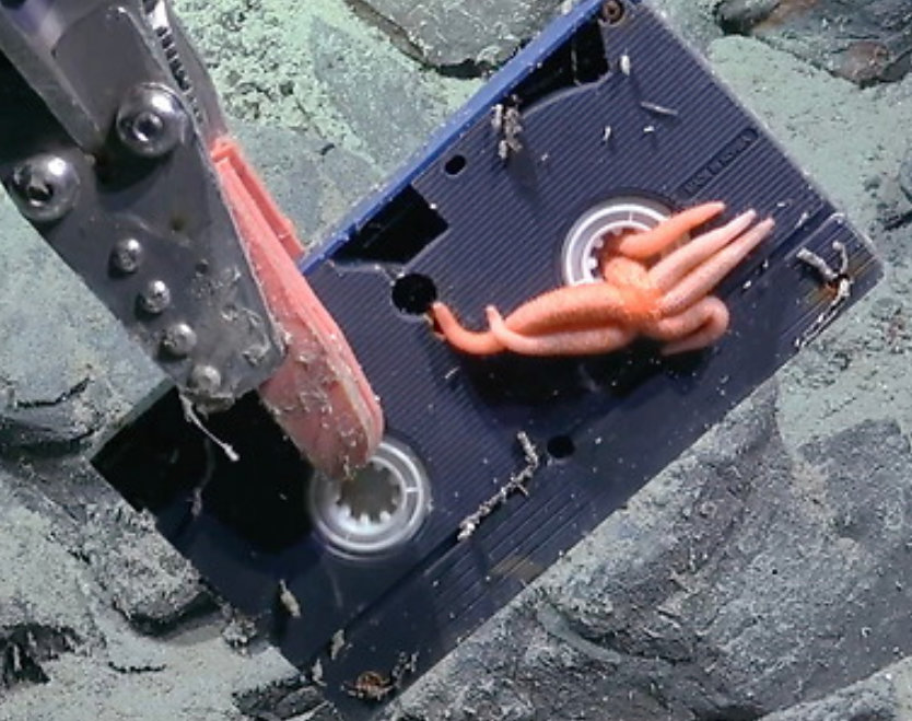 아르헨티나 수심 3000미터 아래에서 발견된 한국어 스티커 부착 VHS 비디오테이프. 사진=슈미트 해양연구소