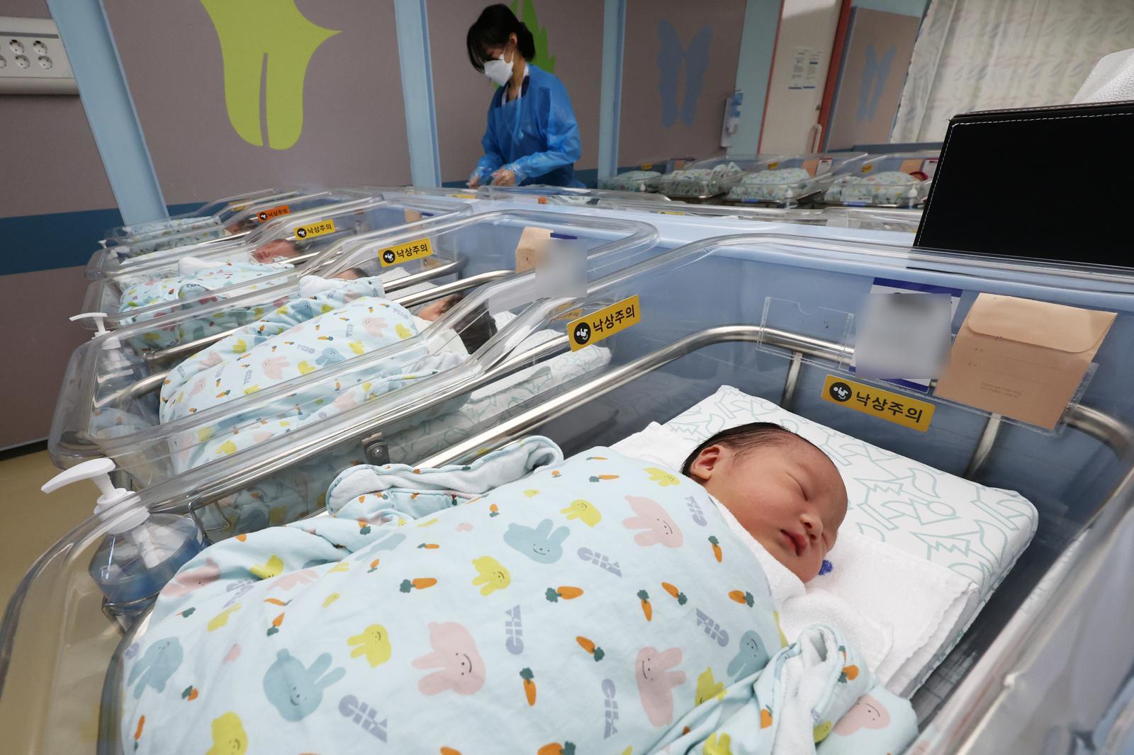 한 산부인과병원 신생아실에 아기들이 누워있다. 뉴스1