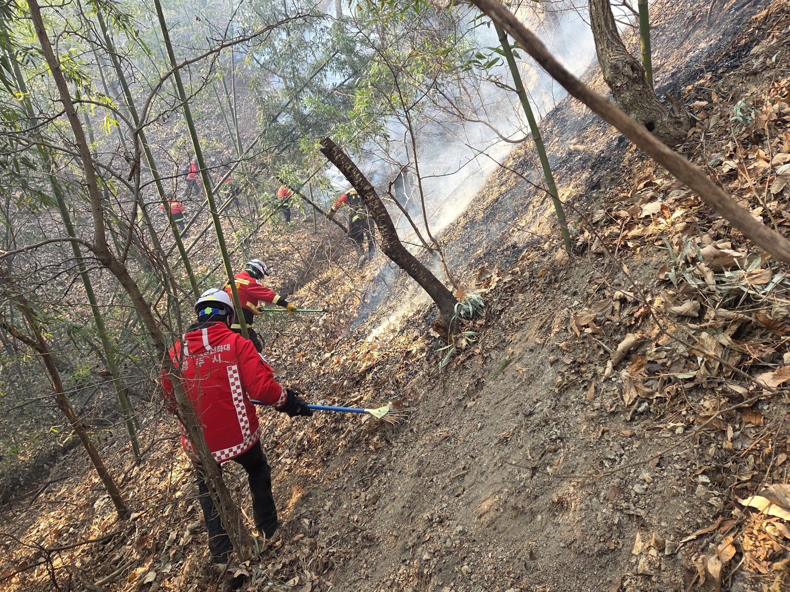 9일 경북 경주시 소속 산불전문예방진화대원들이 문무대왕면에서 발생한 산블 잔불 정리를 하고 있다. 경주시는 이날 오후 5시부로 잔불정리를 끝내고 뒷불 감시 활동을 하고 있다. (독자제공) ⓒ 뉴스1