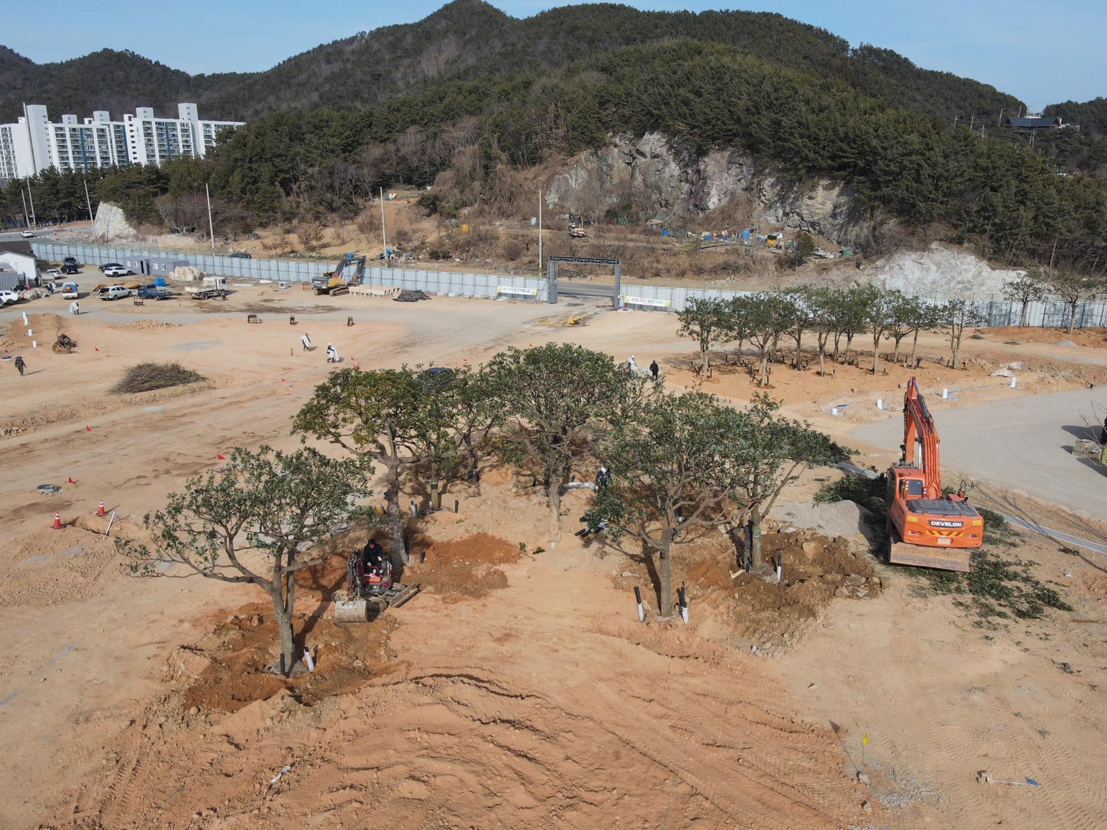 10일 2026여수세계섬박람회 주행사장인 전남 여수시 돌산읍 우두리 진모지구에는 후박나무, 이팝나무 등이 이식돼 있다. 진모지구는 동백나무 등 나무 1만8000여 그루, 초화류 10여만 본이 심어진 남해안 정원이 된다. 여수시 제공
