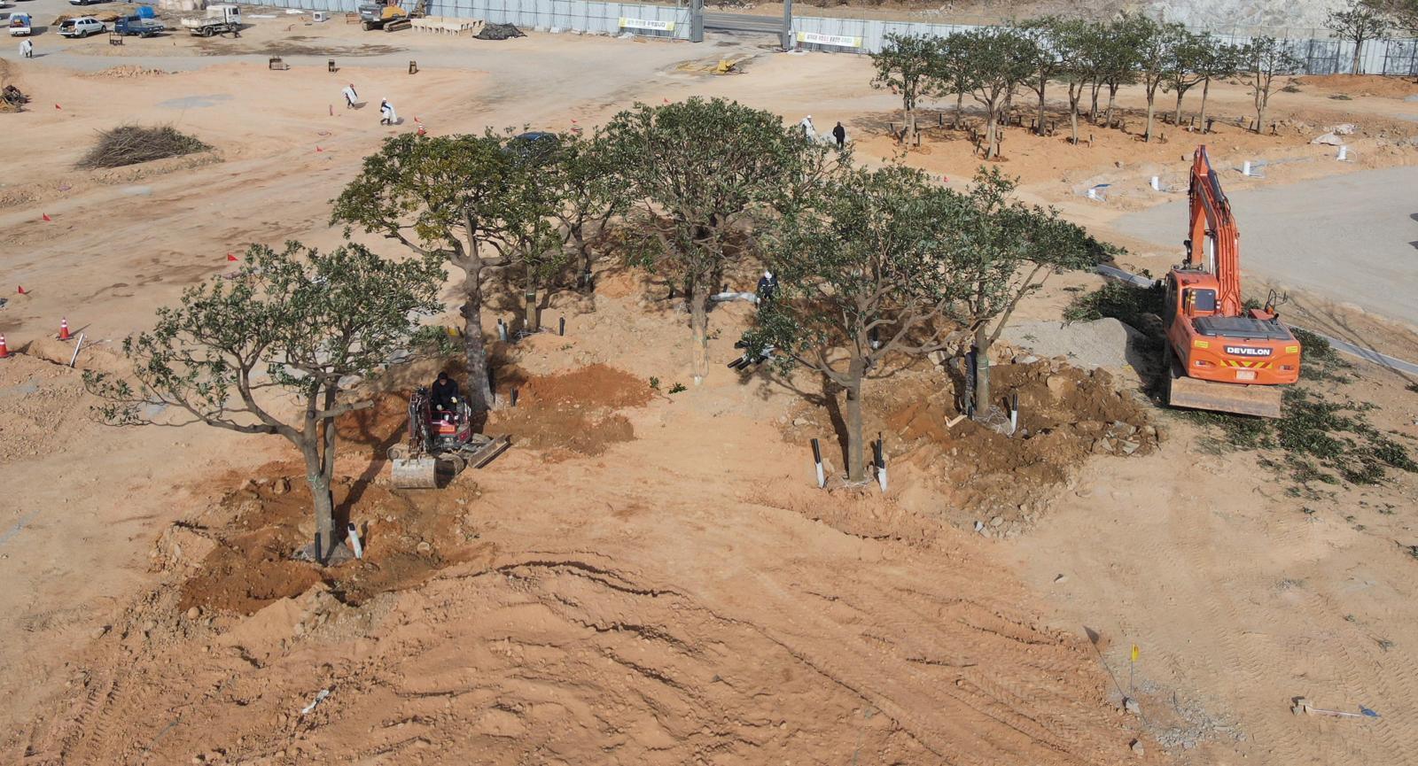 10일 2026여수세계섬박람회 주행사장인 전남 여수시 돌산읍 우두리 진모지구에는 후박나무, 이팝나무 등이 이식돼 있다. 진모지구는 동백나무 등 나무 1만8000여 그루, 초화류 10여만 본이 심어진 남해안 정원이 된다. 여수시 제공