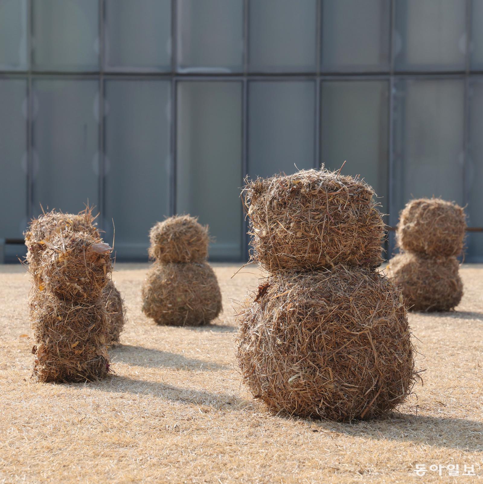 [고양이 눈]느긋한 이유