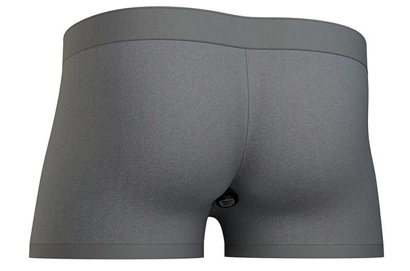 메릴랜드대학교 연구진이 개발한 스마트 속옷.