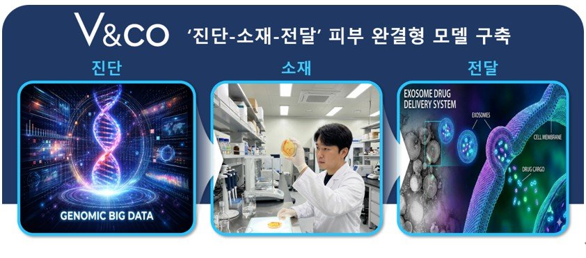 사진 출처=브이앤코