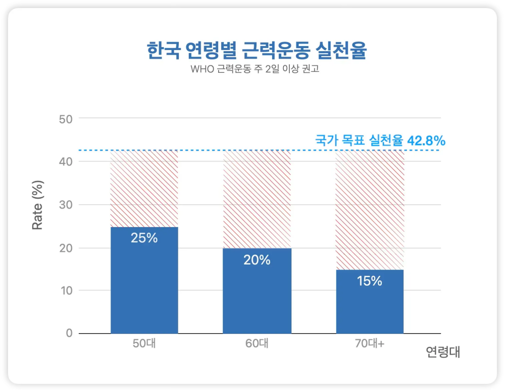 통계청 ‘2024 고령자 통계’, 국민건강영양조사 재분석(노인의 건강상태와 신체활동에 관한 연구), 보건복지부·한국건강증진개발원