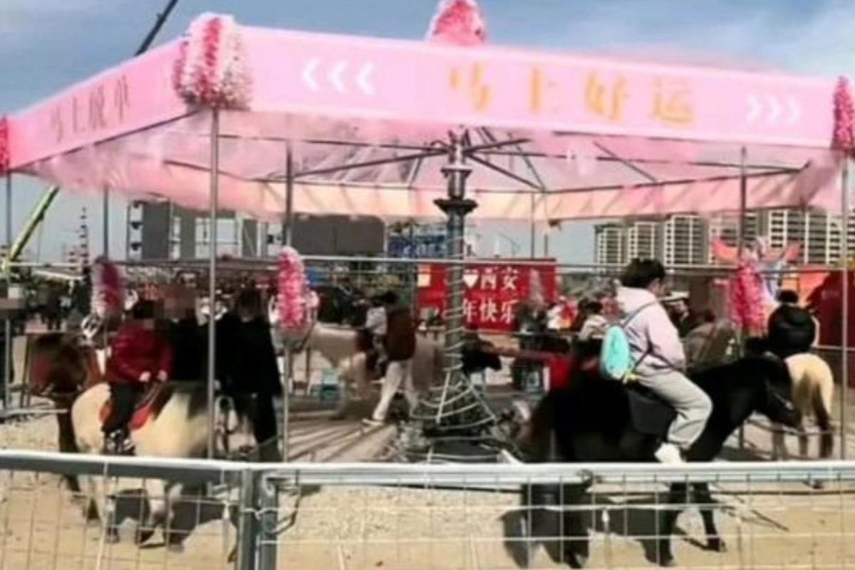 산시성 시안 관광지에서 이달 6일부터 살아있는 말로 움직였던 회전목마. 현재는 중단된 상태다. 웨이보 갈무리