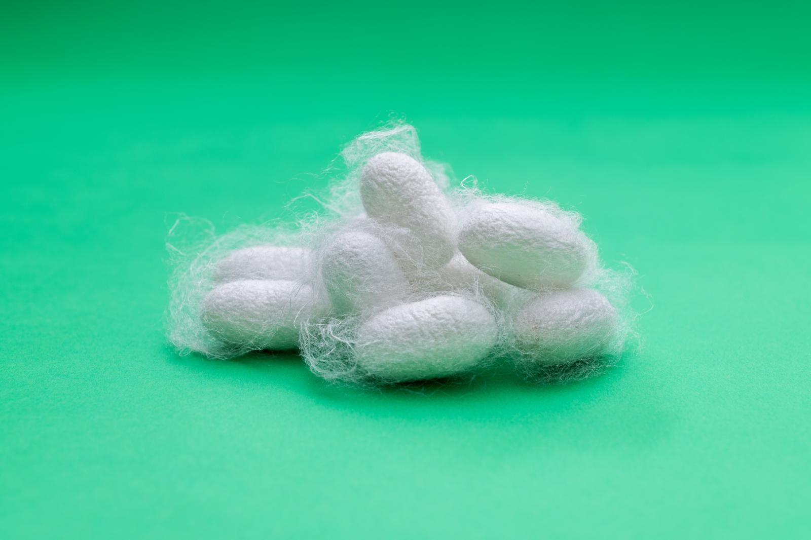 누에가 만든 고치에서 추출되는 실크 단백질은 세리신과 피브로인 성분을 포함하고 있어 보습·피부 보호막 형성 기능을 가진 화장품 원료로 활용된다. 게티이미지뱅크