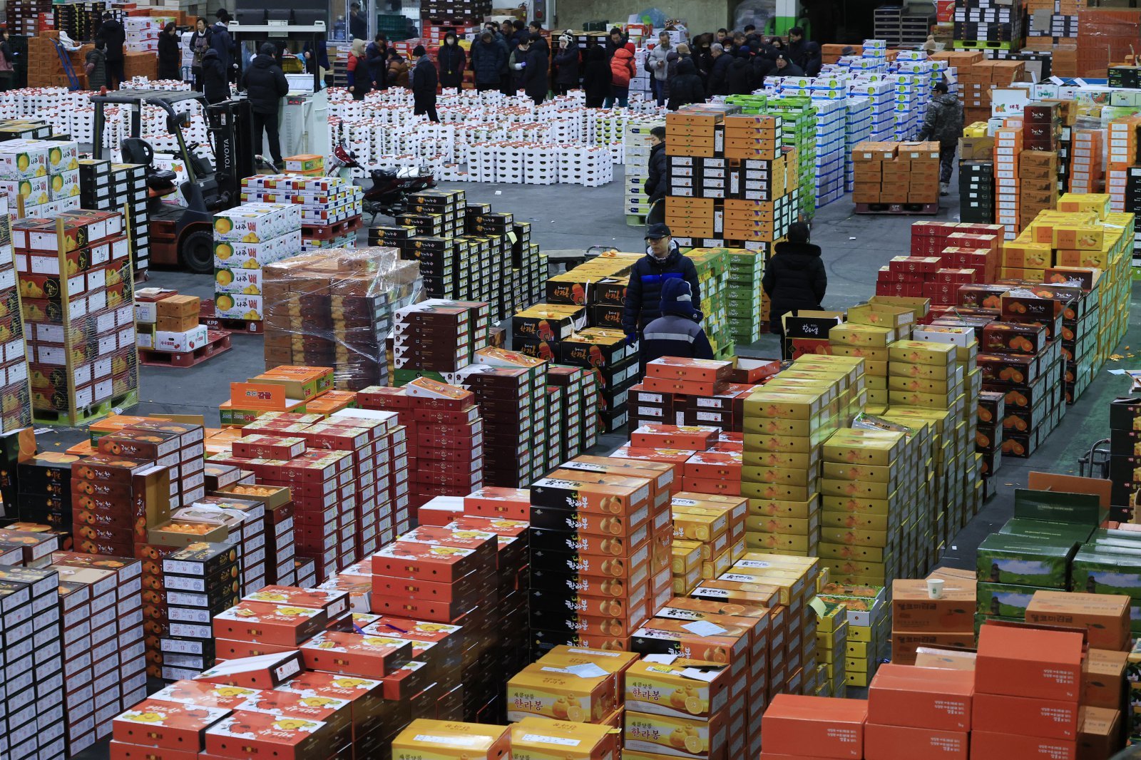 설 연휴를 앞둔 광주 북구 각화동농산물시장 과일 판매장에 사과와 배 등 각종 선물과 차례상용 과일이 산더미처럼 쌓여 있다. 광주=박영철 기자/skyblue@donga.com