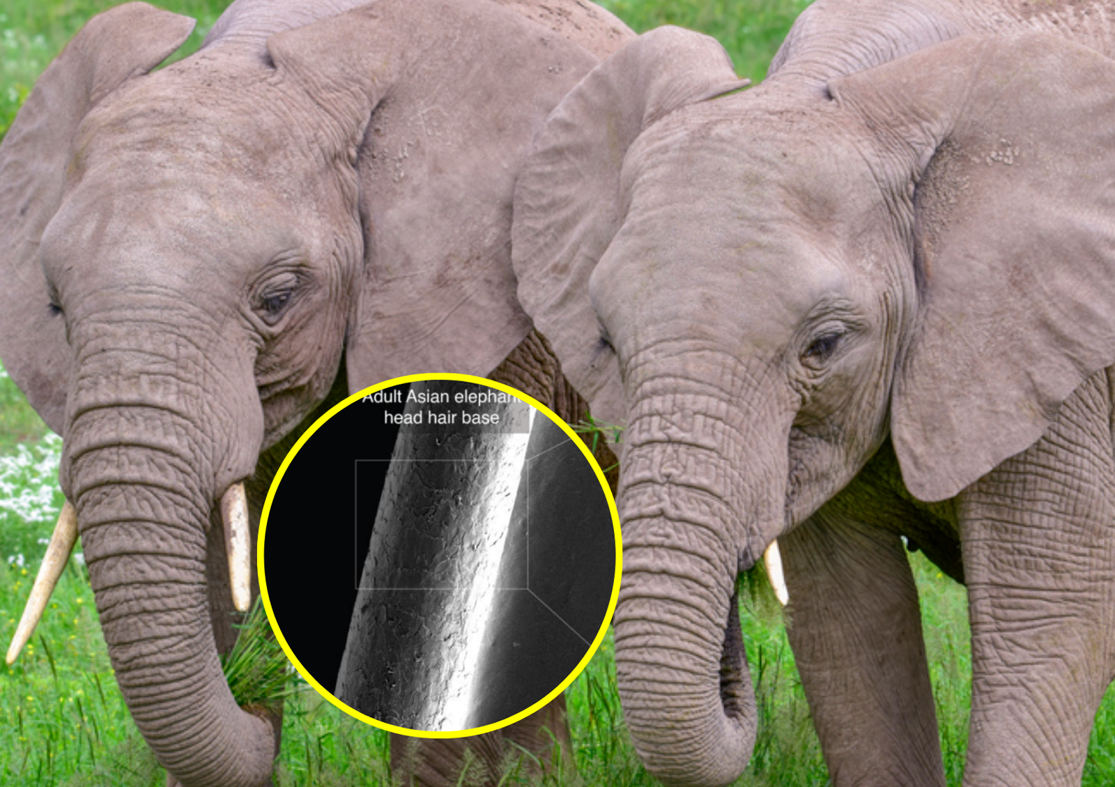 사진=게티이미지뱅크, 사이언스.