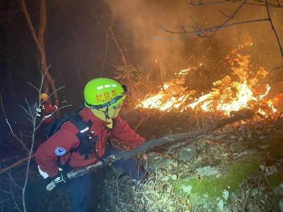 산림청 공중진화대 및 산불재난특수진화대가 지난해 1월 산청군 시천면 동당리에서 민가 및 지리산을 지키기 위해 사투를 벌이고 있다. (산림청 제공.재판매 및 DB금지)/뉴스1