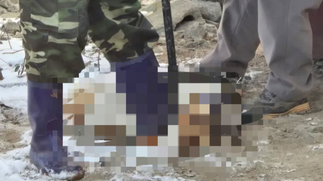 현장 사진. 뉴스1