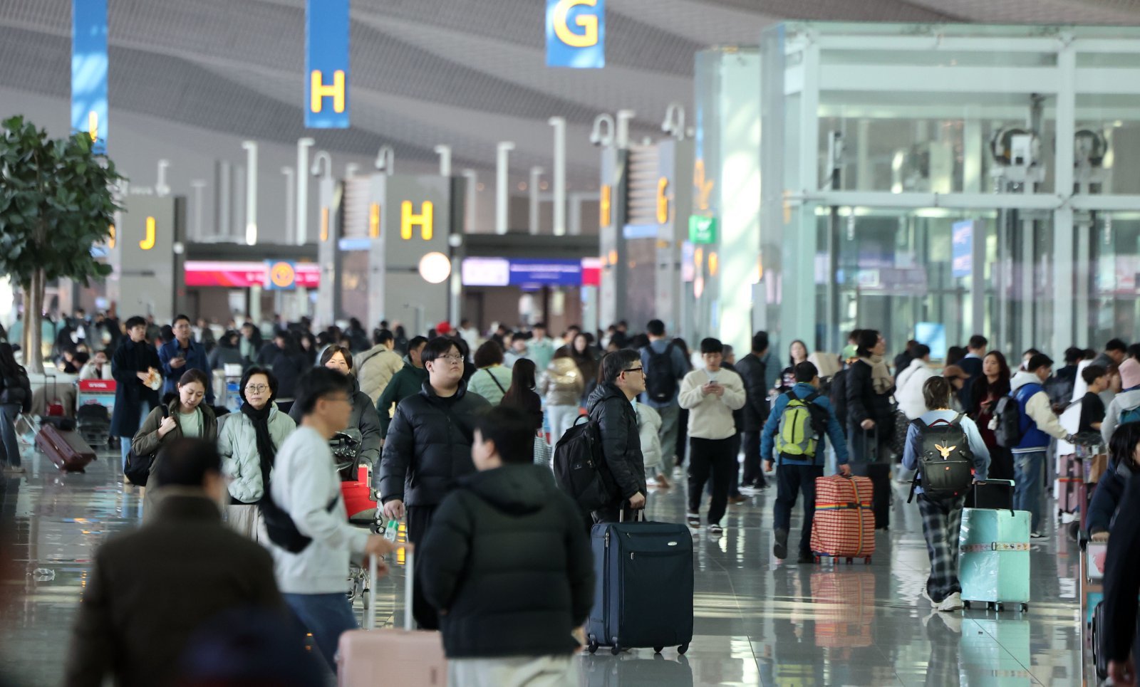 설 연휴를 앞둔 12일 인천국제공항 출국장에서 여행객들이 출국 수속을 밟고 있다.  인천국제공항공사는 이번 설 연휴 기간(13~18일) 출입국 여객은 122만명, 일 평균 20만4000명 수준으로 전망했으며 총여객과 출발여객이 가장 많은 날은 14일이고 도착 여객이 가장 많은 날은 18일로 예상했다. 2026.02.12. [인천공항=뉴시스]