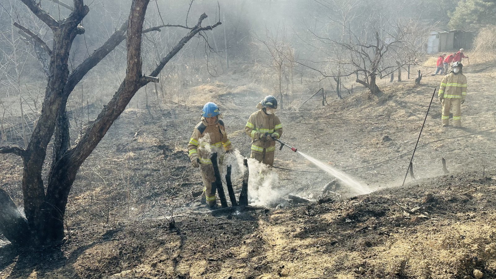 15일 강원 강릉 주문진읍 교항리 산불 진화 현장.  2026.2.15/강원도 산불방지대책본부 제공