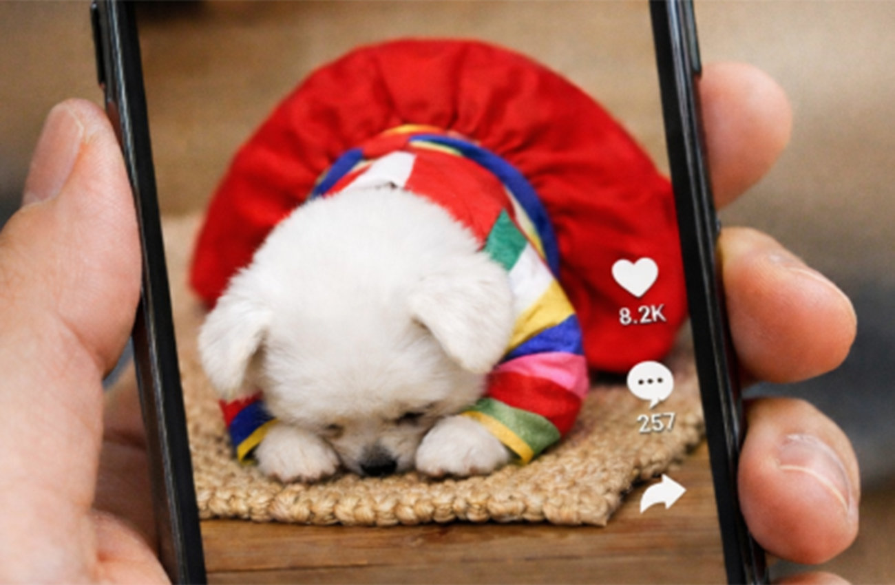 유튜브 등 SNS에 AI로 만든 저품질 영상 ‘AI 슬롭’이 양산되고 있다. 챗GPT 생성 이미지