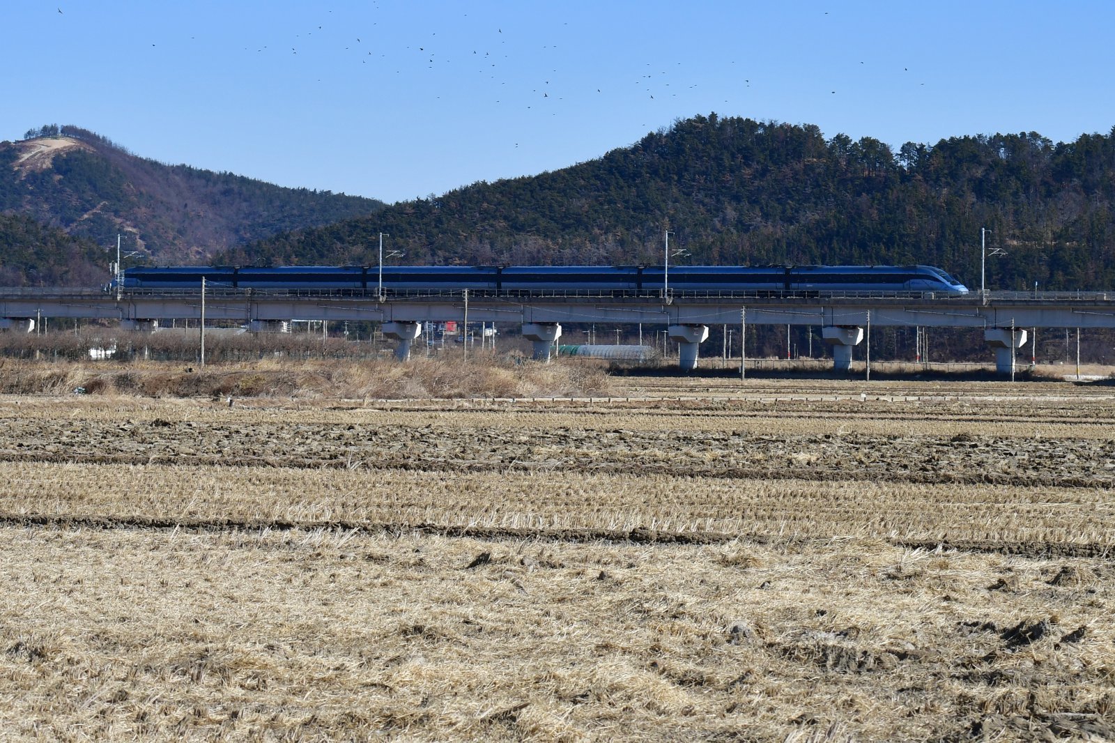 강원도 강릉에서 출발한 동해선 KTX-이음 열차가 포항시 북구 흥해읍 지나가고 있다. 뉴스1