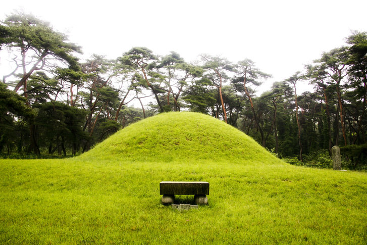 제주지법은 본인 소유 토지 내 분묘 때문에 대출이 거절되자 굴삭기로 타인의 묘를 무단 발굴한 60대 여성에게 징역 6개월에 집행유예 1년을 선고했다. 게티이미지뱅크