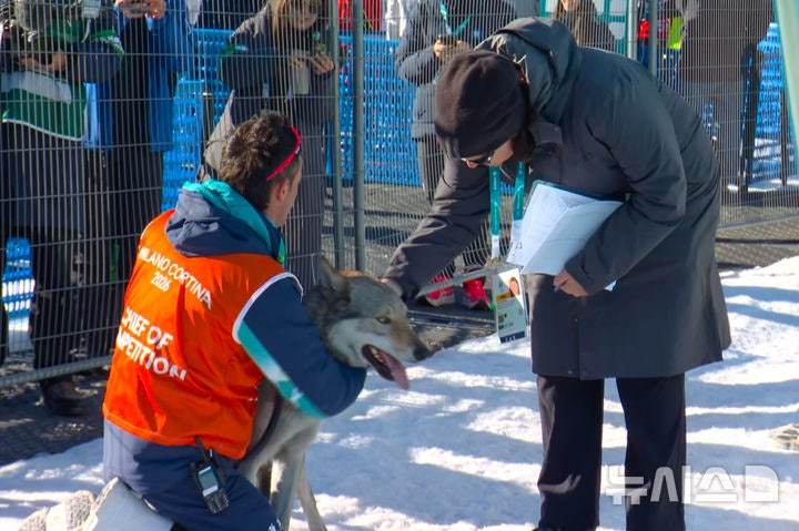 [테세로=AP/뉴시스] 18일(현지 시간) 이탈리아 테세로 크로스컨트리 스타디움에서 열린 2026 밀라노·코르티나담페초 동계올림픽 크로스컨트리 스키 여자 팀 스프린트 프리 예선 경기에 개가 난입했다. (올림픽 중계 방송사 OBS 제공 영상 속 장면)2026.02.19.