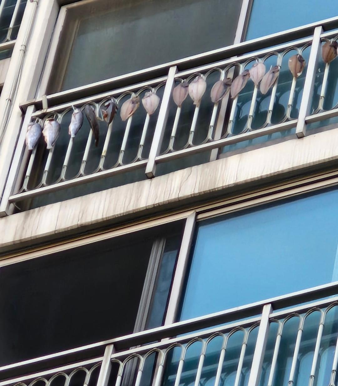 윗집 베란다에서 생선을 말리는 모습. 지역 기반 커뮤니티 당근마켓 ‘동네생활 게시판’