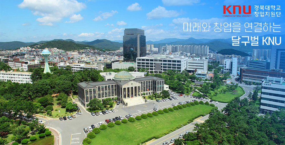 경북대학교 창업지원단은 총 7개의 프로그램으로 구성된 창업도약패키지로 유망 스타트업을 지원한다 / 출처=경북대학교 창업지원단