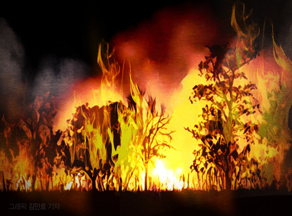 장흥 부산면 야산서 불…산림 당국 진화 중