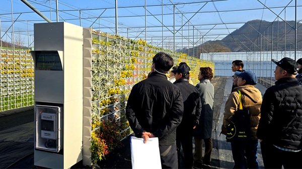 현장 활용 수직정원사 교육 사진.