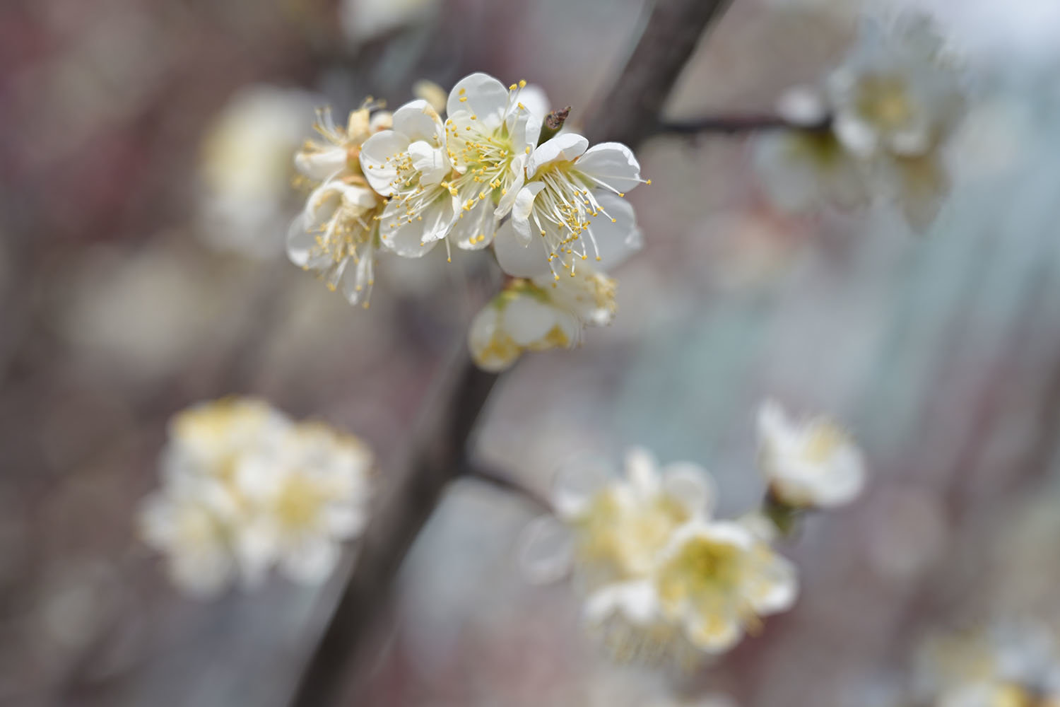 Z R의 사진 기록 능력은 Z 6 III와 큰 차이가 없다 / 출처=IT동아