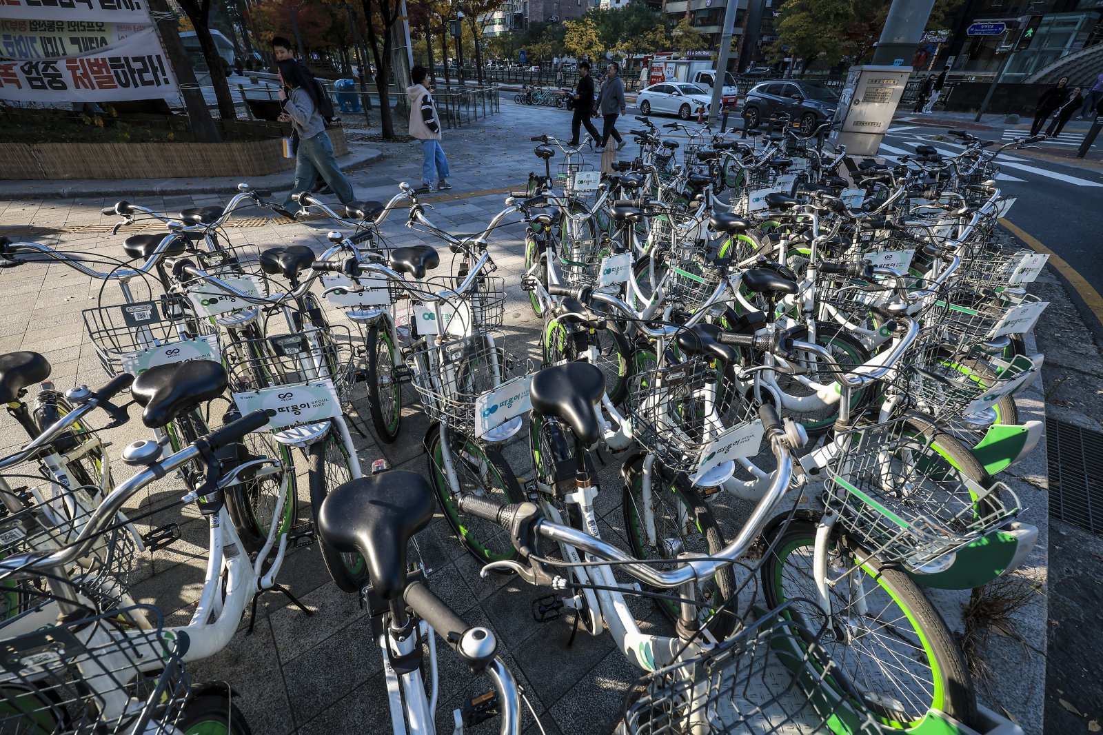 따릉이 개인정보 462만건 유출범은 중학생…“과시욕·호기심에 범행”