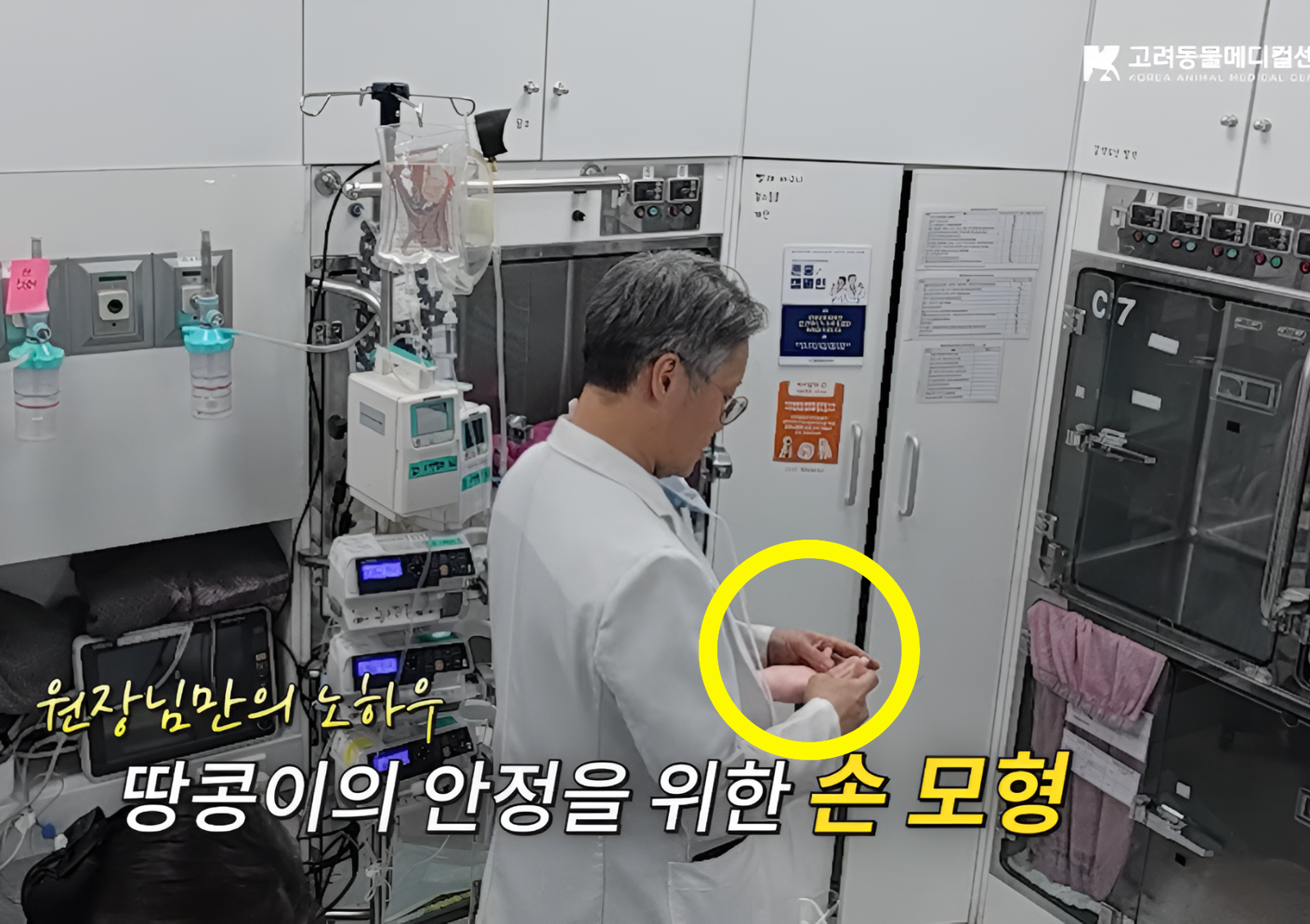 사진=고려동물메디컬센터 유튜브 캡쳐.