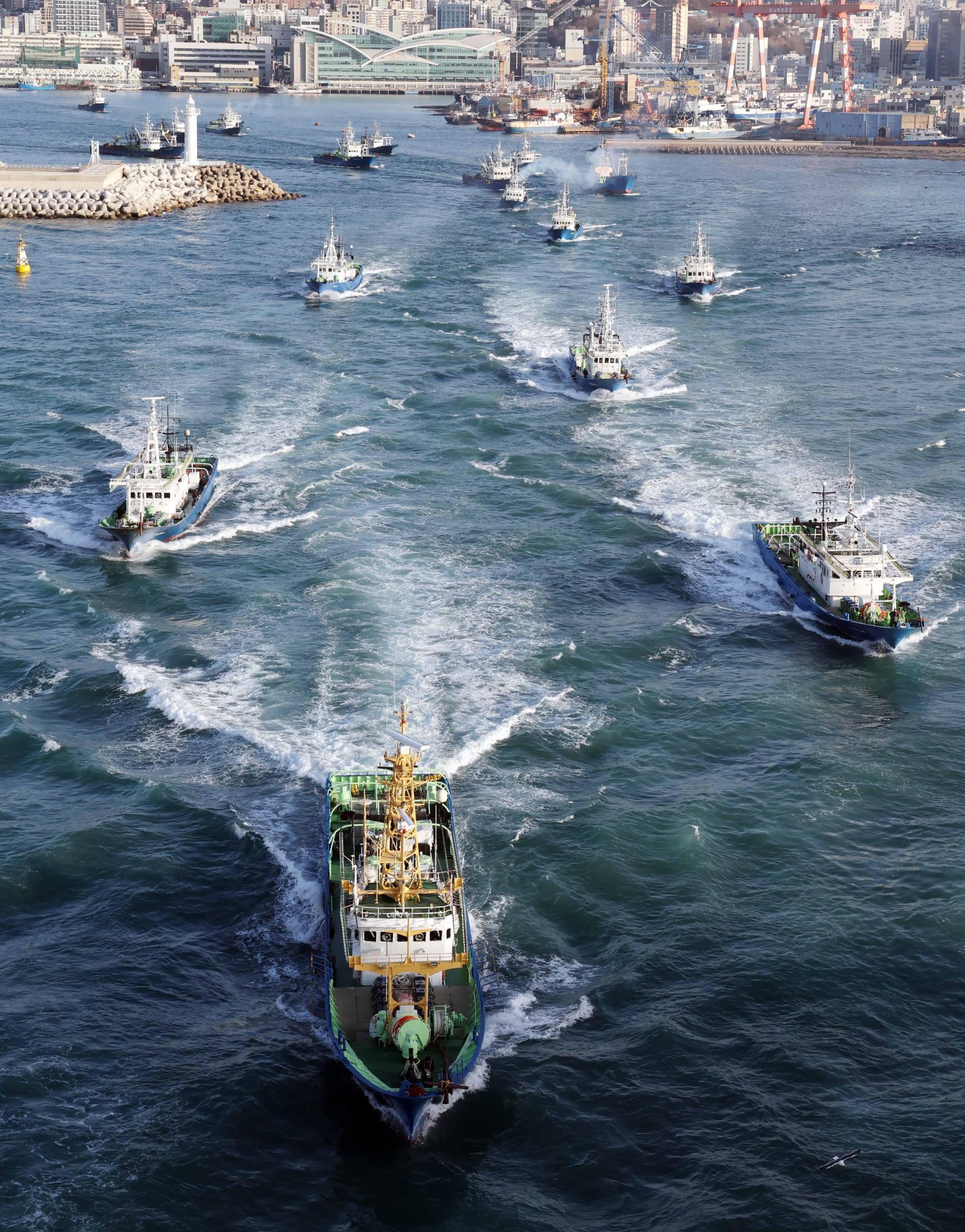 자, 떠나자! 고등어 잡으러